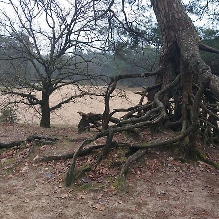 Vakantieverhuur Bienvenue Bojil Dış mekan fotoğraf