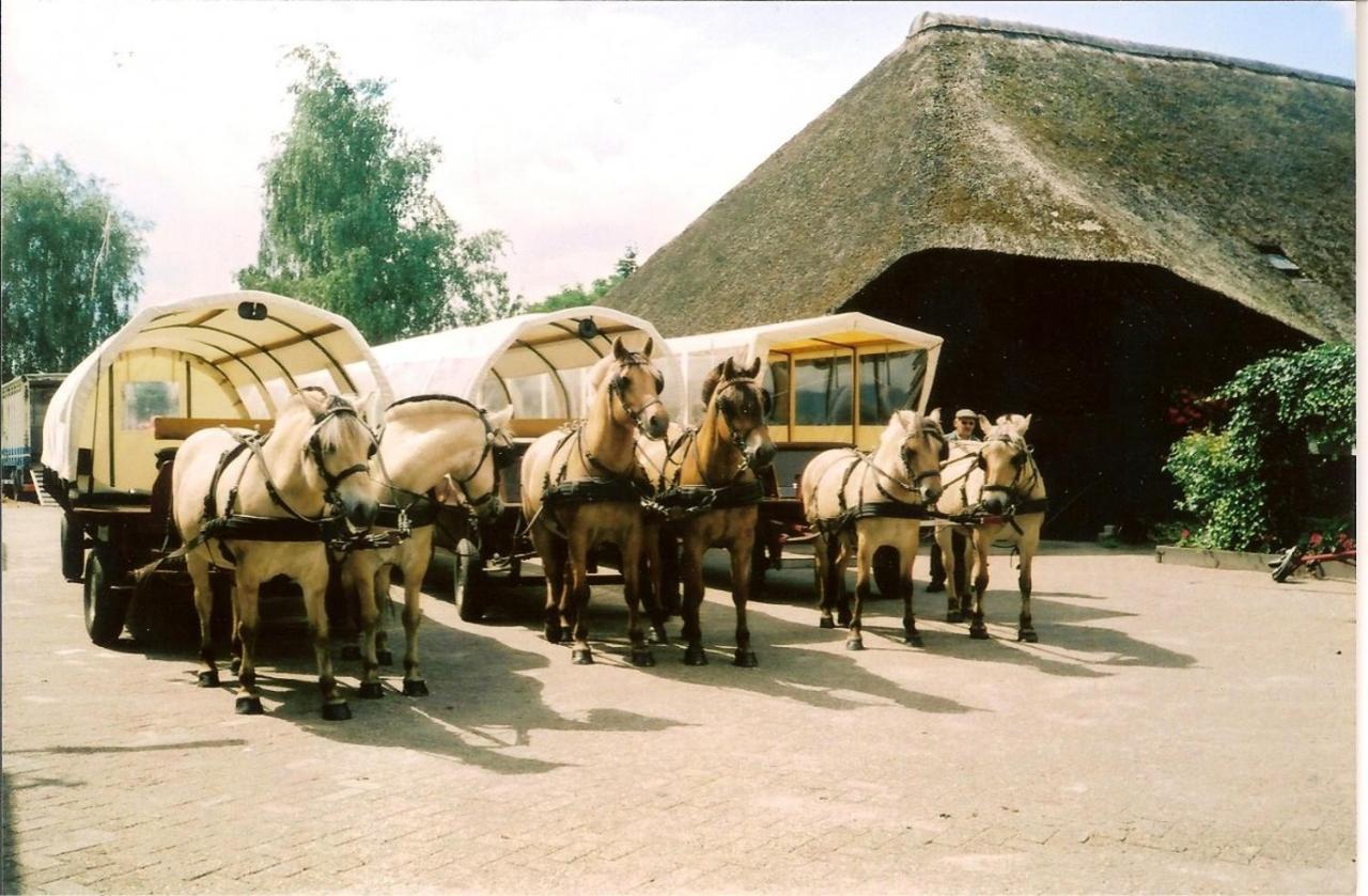 Vakantieverhuur Bienvenue Bojil Dış mekan fotoğraf