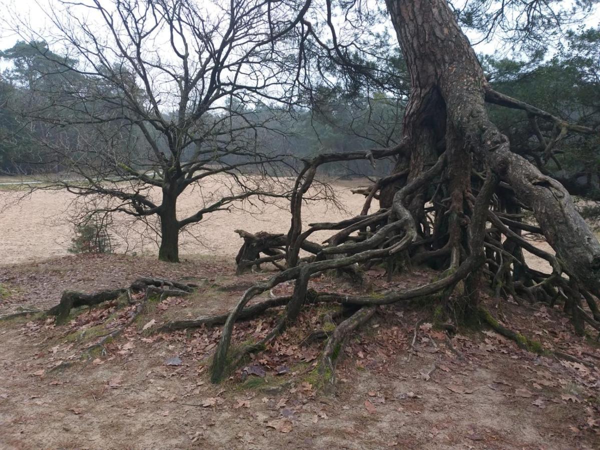 Vakantieverhuur Bienvenue Bojil Dış mekan fotoğraf